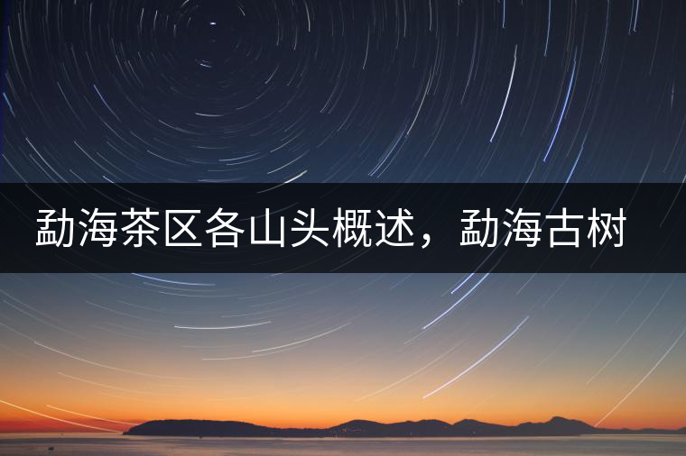 勐海茶區(qū)各山頭概述，勐海古樹(shù)茶口感特點(diǎn)