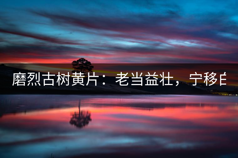 磨烈古樹黃片：老當益壯，寧移白首之心！