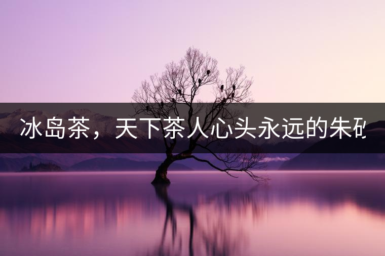 冰島茶，天下茶人心頭永遠(yuǎn)的朱砂痣！