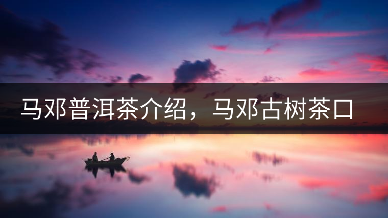 馬鄧普洱茶介紹，馬鄧古樹茶口感特點