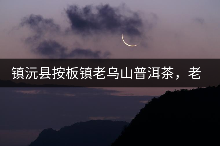 鎮(zhèn)沅縣按板鎮(zhèn)老烏山普洱茶，老烏山古樹茶口感特點
