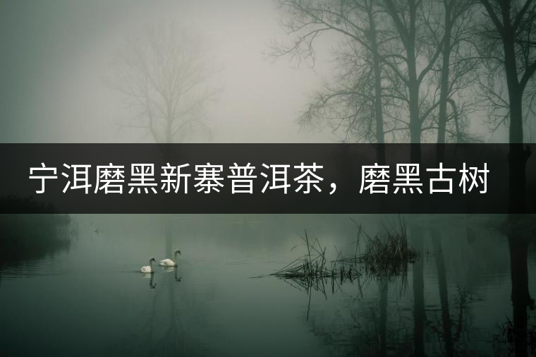 寧洱磨黑新寨普洱茶，磨黑古樹(shù)茶口感特點(diǎn)