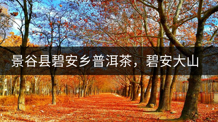 景谷縣碧安鄉(xiāng)普洱茶，碧安大山古樹(shù)茶口感特點(diǎn)