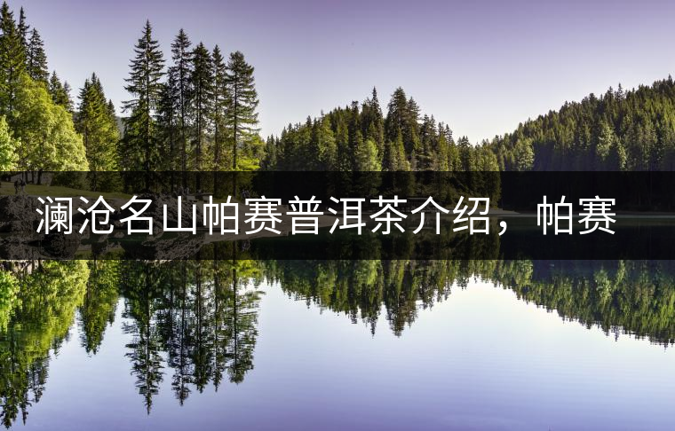 瀾滄名山帕賽普洱茶介紹，帕賽古樹茶口感特點