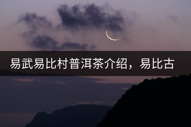 易武易比村普洱茶介紹，易比古樹(shù)茶口感特點(diǎn)