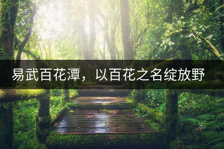 易武百花潭，以百花之名綻放野冽韻味