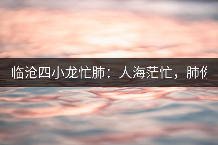 臨滄四小龍忙肺：人海茫忙，肺你莫屬！