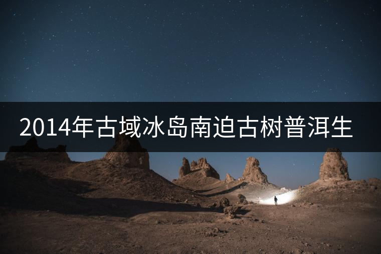 2014年古域冰島南迫古樹(shù)普洱生茶