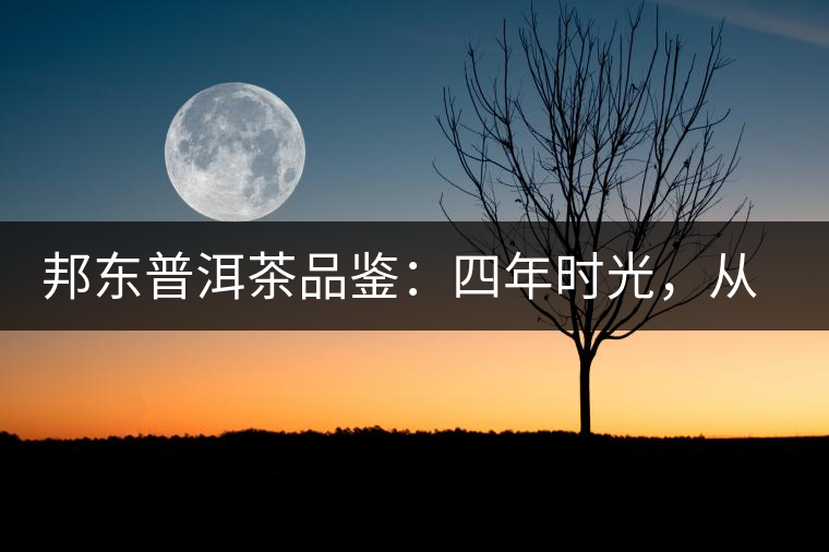 邦東普洱茶品鑒：四年時光，從張揚(yáng)到內(nèi)斂