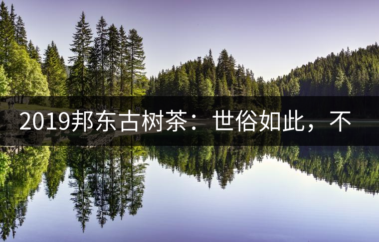 2019邦東古樹茶：世俗如此，不俗如你