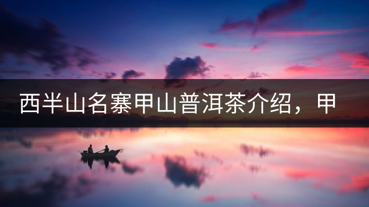 西半山名寨甲山普洱茶介紹，甲山古樹茶口感特點(diǎn)