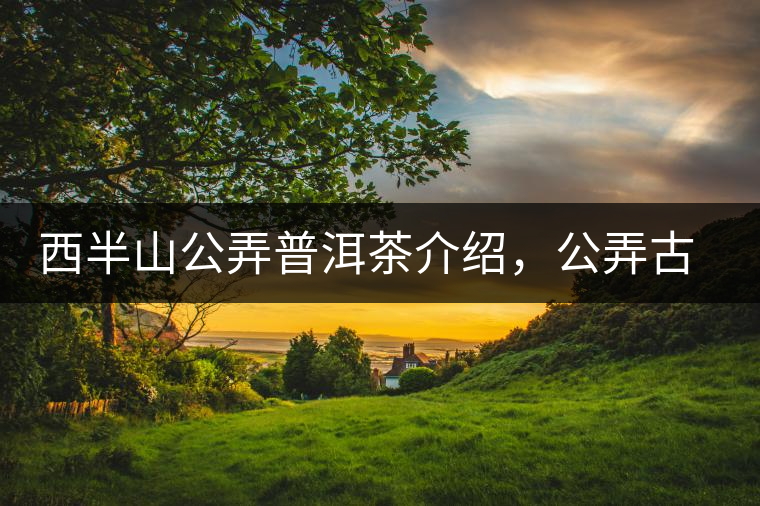 西半山公弄普洱茶介紹，公弄古樹茶口感特點
