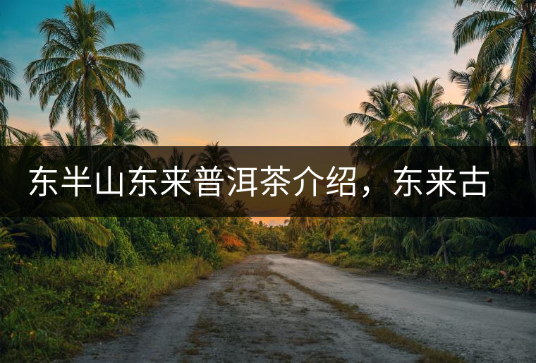 東半山東來普洱茶介紹，東來古樹茶口感特點