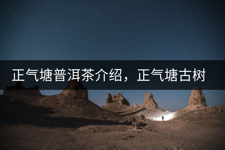 正氣塘普洱茶介紹，正氣塘古樹茶口感特點(diǎn)