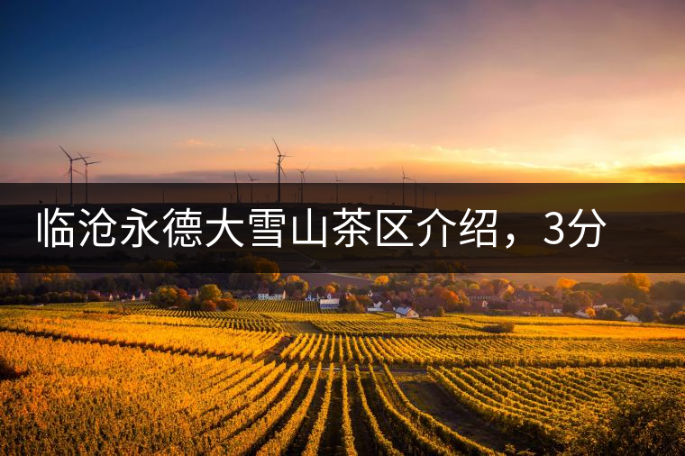 臨滄永德大雪山茶區(qū)介紹，3分鐘了解永德大雪山古樹(shù)茶