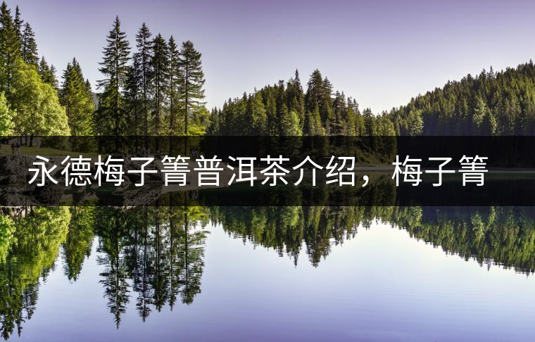 永德梅子箐普洱茶介紹，梅子箐古樹茶口感特點(diǎn)