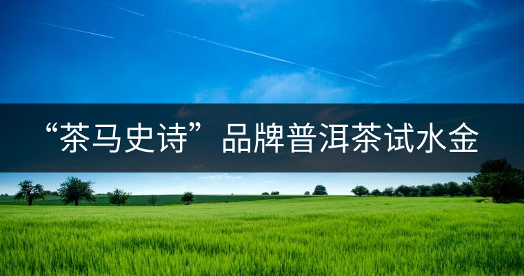 “茶馬史詩”品牌普洱茶試水金融市場