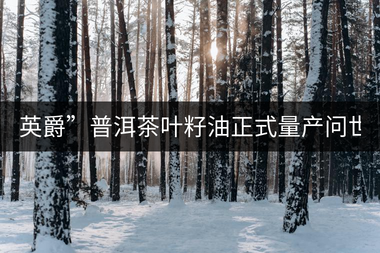 英爵”普洱茶葉籽油正式量產(chǎn)問世。