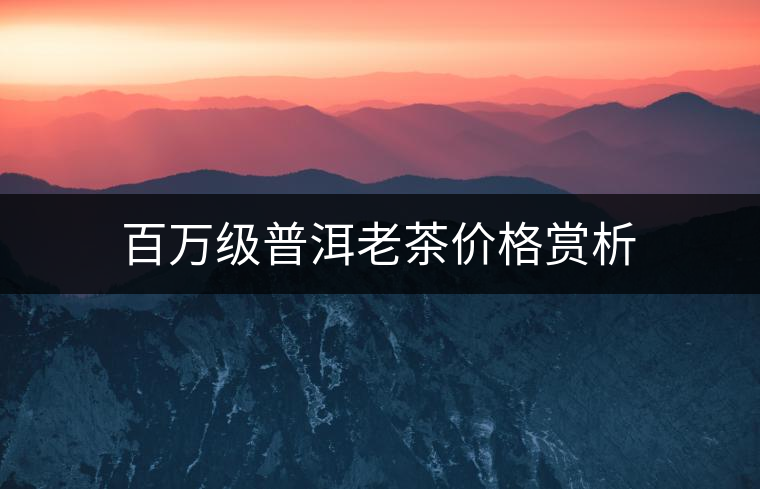 百萬(wàn)級(jí)普洱老茶價(jià)格賞析