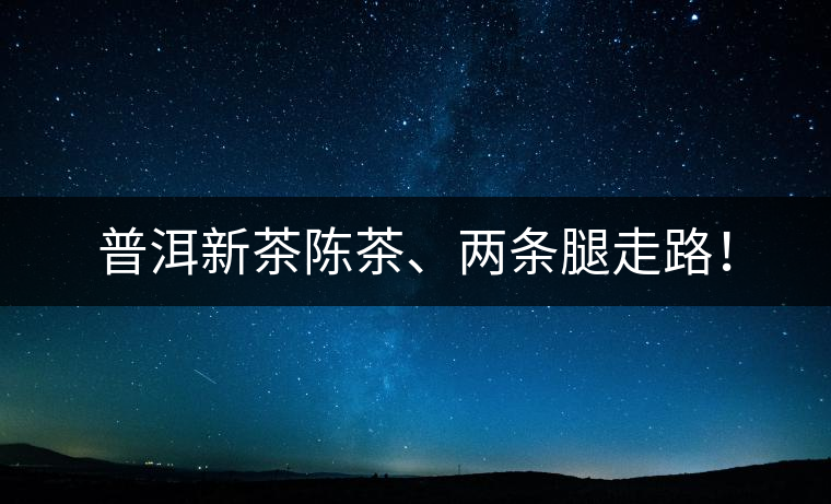 普洱新茶陳茶、兩條腿走路！