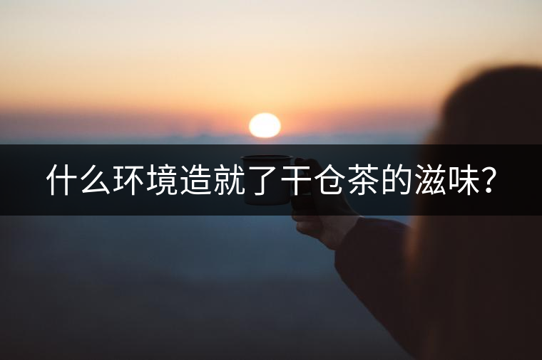 什么環(huán)境造就了干倉茶的滋味？