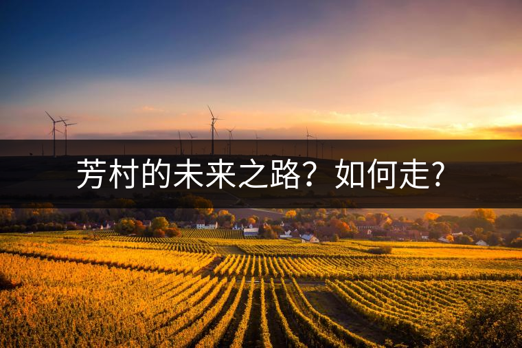 芳村的未來之路？如何走?