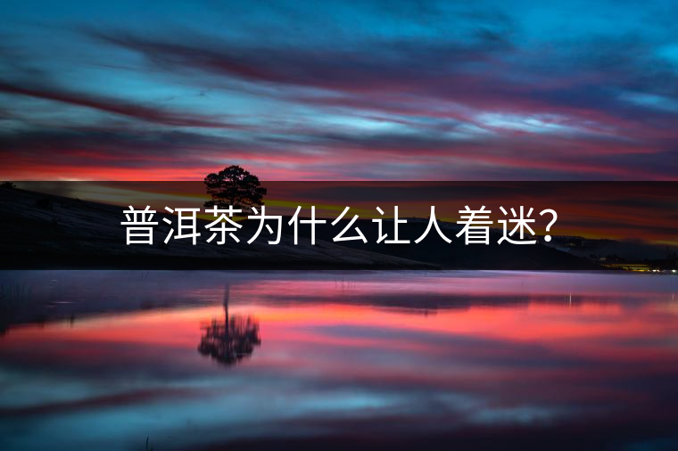 普洱茶為什么讓人著迷？