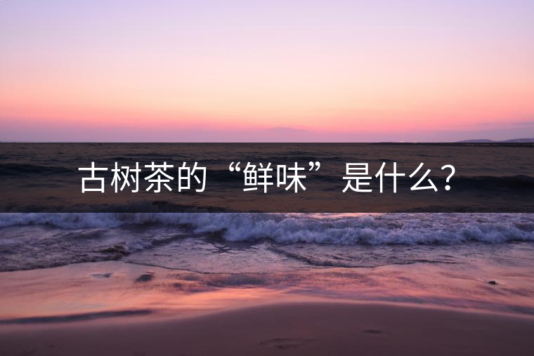 古樹茶的“鮮味”是什么？