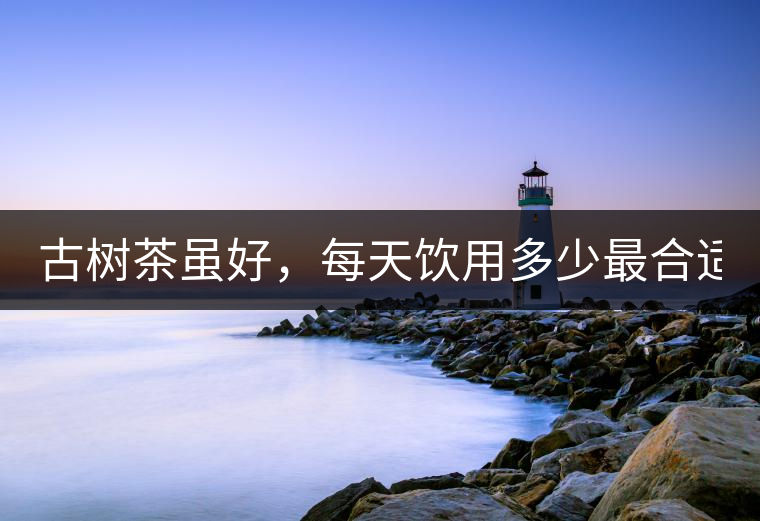 古樹茶雖好，每天飲用多少最合適？