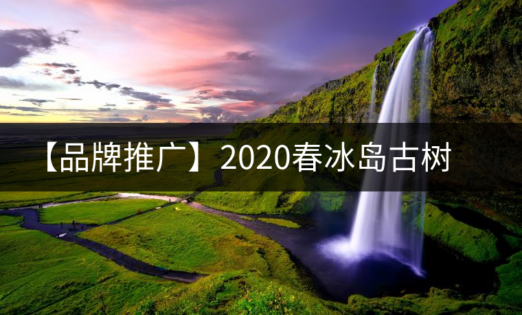 【品牌推廣】2020春冰島古樹普洱茶特級生茶餅茶葉多規(guī)格久樽正品