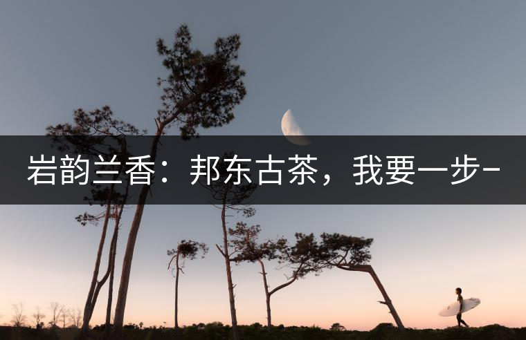 巖韻蘭香：邦東古茶，我要一步一步往上爬！