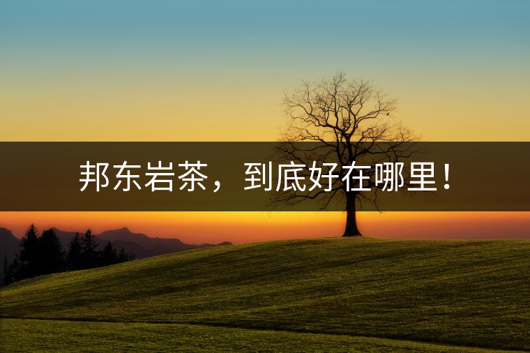 邦東巖茶，到底好在哪里！