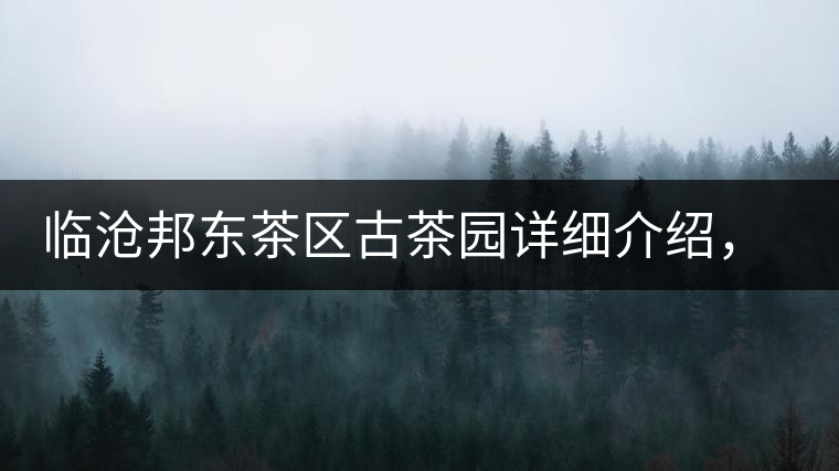 臨滄邦東茶區(qū)古茶園詳細(xì)介紹，邦東古樹茶特點(diǎn)