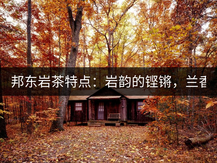 邦東巖茶特點(diǎn)：巖韻的鏗鏘，蘭香的柔美！