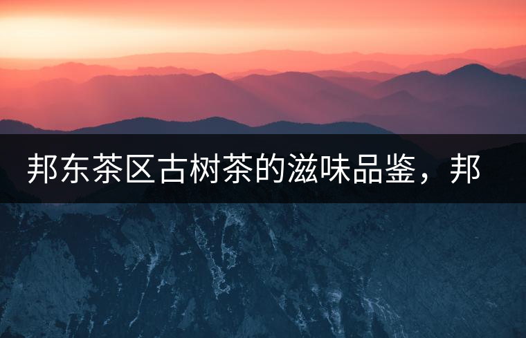 邦東茶區(qū)古樹茶的滋味品鑒，邦東普洱茶特點(diǎn)