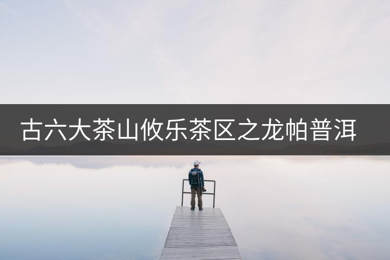 古六大茶山攸樂茶區(qū)之龍帕普洱茶