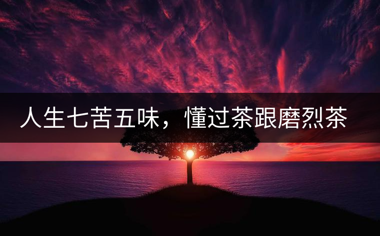 人生七苦五味，懂過茶跟磨烈茶區(qū)別介紹