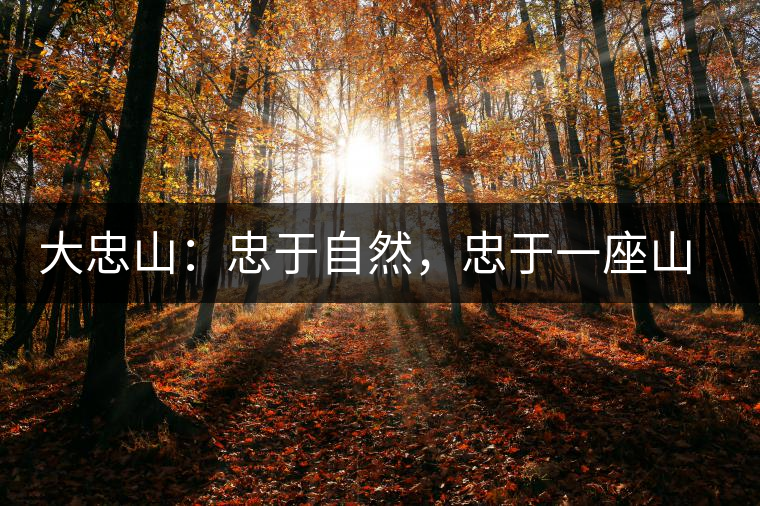 大忠山：忠于自然，忠于一座山的原味