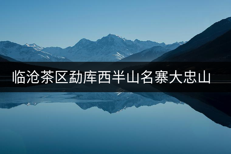 臨滄茶區(qū)勐庫西半山名寨大忠山普洱茶介紹