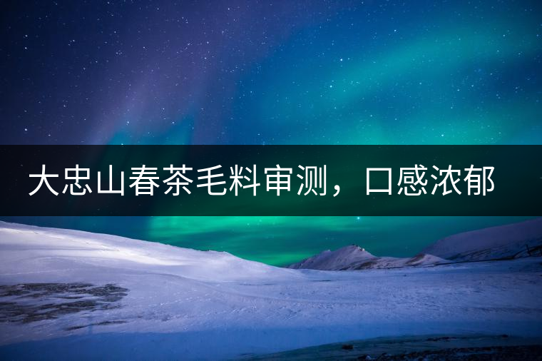 大忠山春茶毛料審測，口感濃郁花香與甜潤口感相得益彰