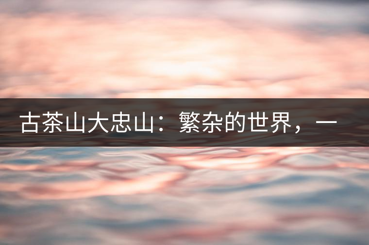 古茶山大忠山：繁雜的世界，一杯就夠了