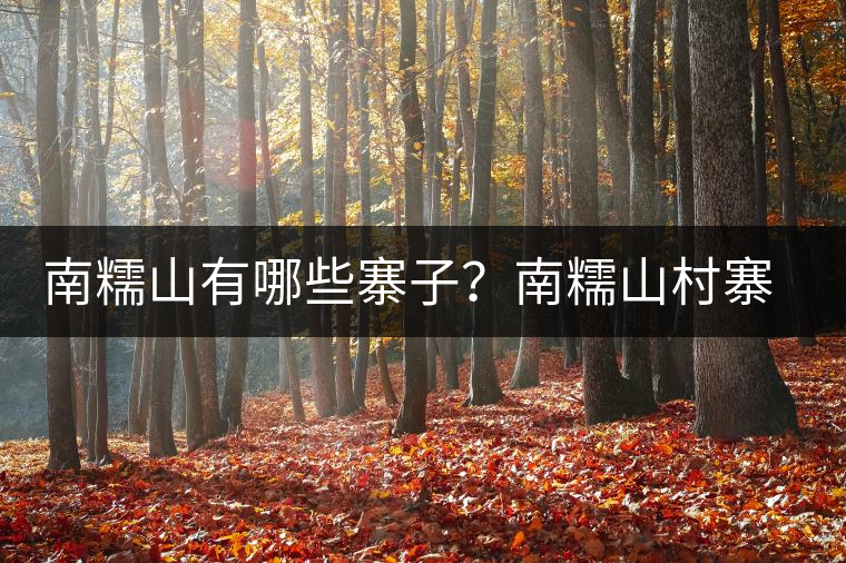 南糯山有哪些寨子？南糯山村寨歷史介紹