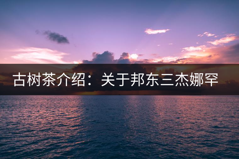 古樹茶介紹：關(guān)于邦東三杰娜罕的一些冷知識