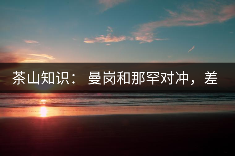 茶山知識： 曼崗和那罕對沖，差別在哪里？