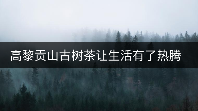 高黎貢山古樹茶讓生活有了熱騰的醉意