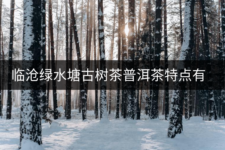 臨滄綠水塘古樹茶普洱茶特點(diǎn)有哪些？