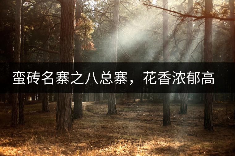 蠻磚名寨之八總寨，花香濃郁高揚