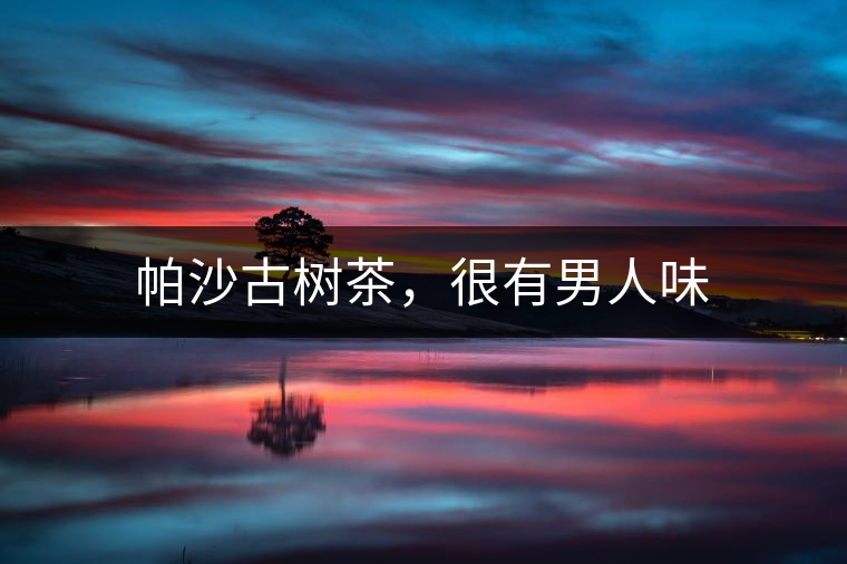帕沙古樹茶，很有男人味
