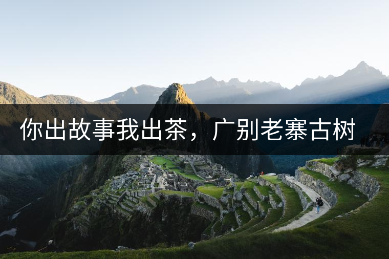 你出故事我出茶，廣別老寨古樹妖茶