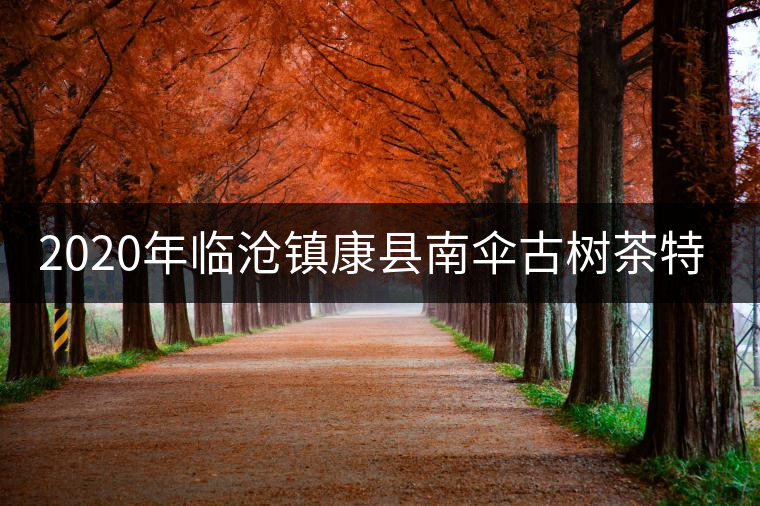 2020年臨滄鎮(zhèn)康縣南傘古樹茶特點(diǎn)